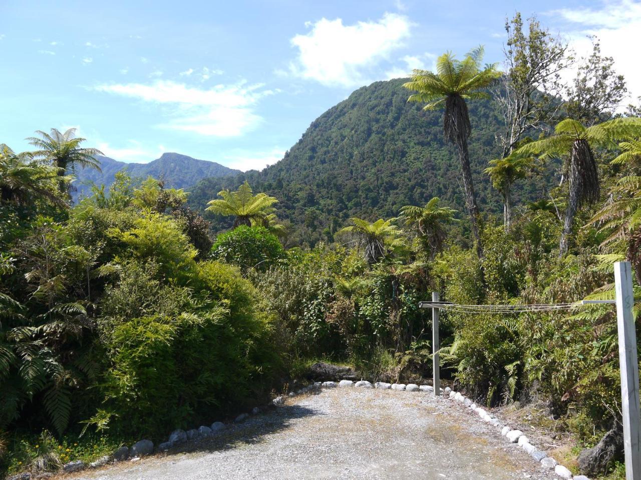 Franz Josef Treetops Экстерьер фото